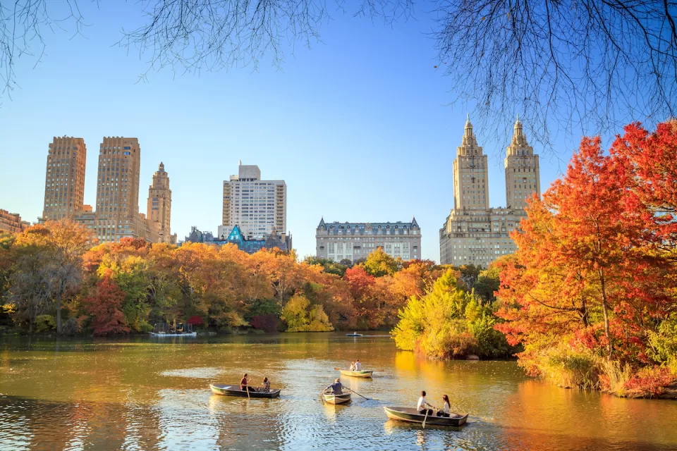 View of lake in Central Park, New York City with people in rowboats and bright red and orange fall trees, buildings in background.